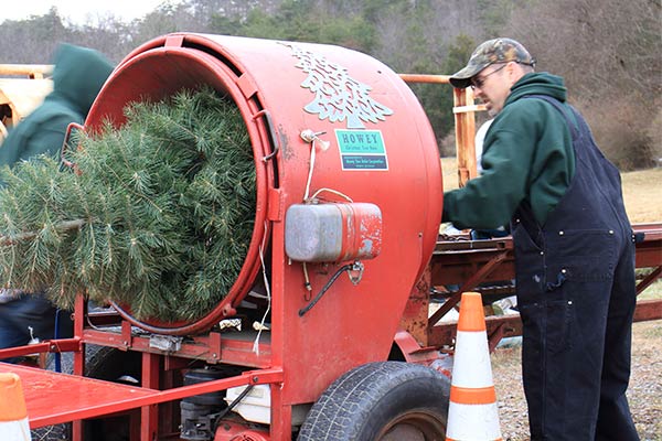 Christmas Tree Bailing at Clouse's Pine Hill Tree Farm